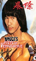 bruce le Fists of vengeance 200x300